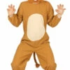 DEGUISEMENT LION