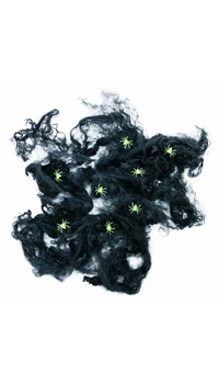 TOILE D'ARAIGNEE NOIRE