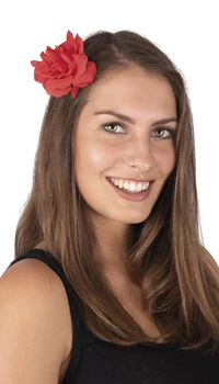 ROSE ROUGE SUR PINCE