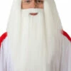 PERRUQUE AVEC BARBE DRUIDE