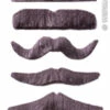 MOUSTACHE GRISE