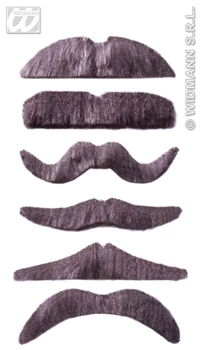 MOUSTACHE GRISE
