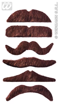 MOUSTACHE CHATAIN