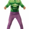 DEGUISEMENT HULK