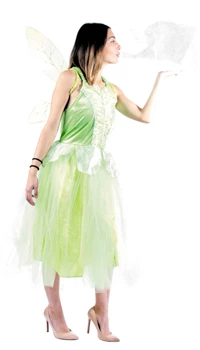 DEGUISEMENT FEE VERTE