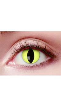 LENTILLES DE CONTACT CHAT JAUNE