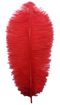 PLUME AUTRUCHE 34/38cm ROUGE