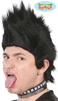 PERRUQUE PUNK NOIRE