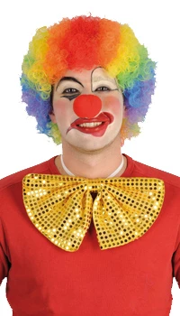 PERRUQUE POP MULTICOLORE