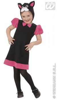 DEGUISEMENT CHATTE