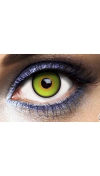 LENTILLES DE CONTACT CHAPELIER FOU