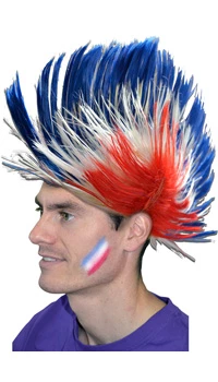 PERRUQUE PUNK TRICOLORE