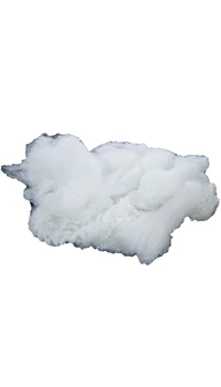 TOILE ARAIGNEE BLANCHE